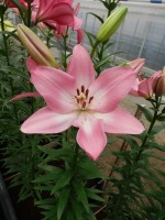 [5060 Albufeira No01.JPG]